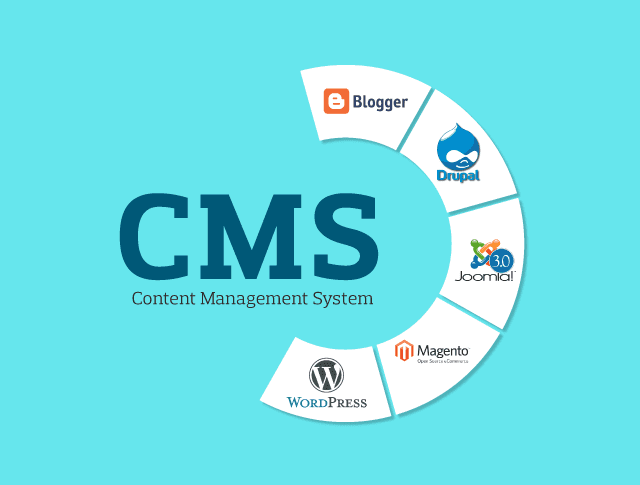 what is CMS